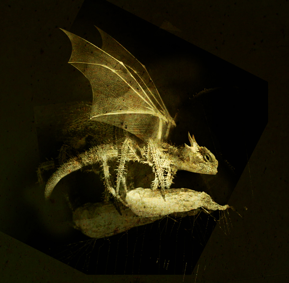 Photoshop Design by Sicknificant for DesignCrowd (Community Contests) | Design #9094977