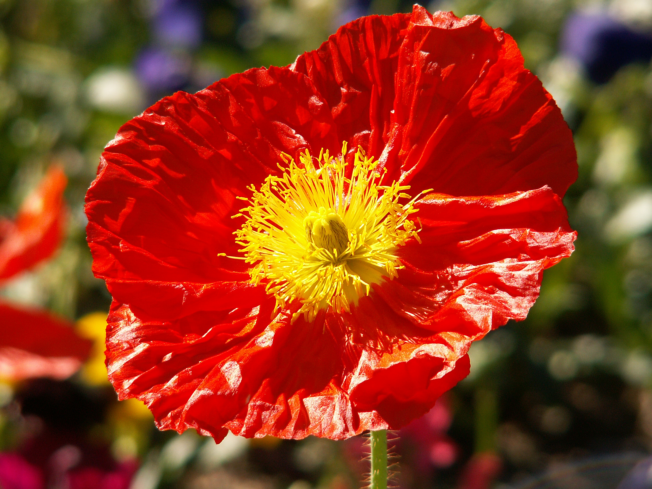 Photography by Stevecostello for DesignCrowd (Community Contests) | Design #9093020