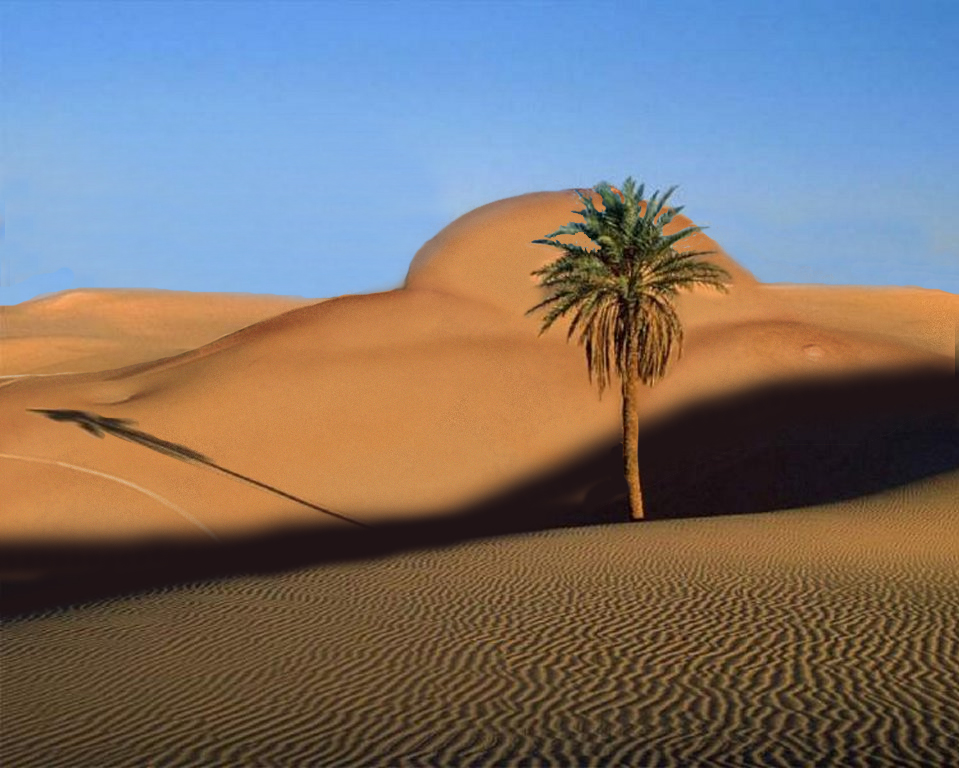 Photoshop-Design von kavaweb für DesignCrowd (Community Contests) | Design #9096949