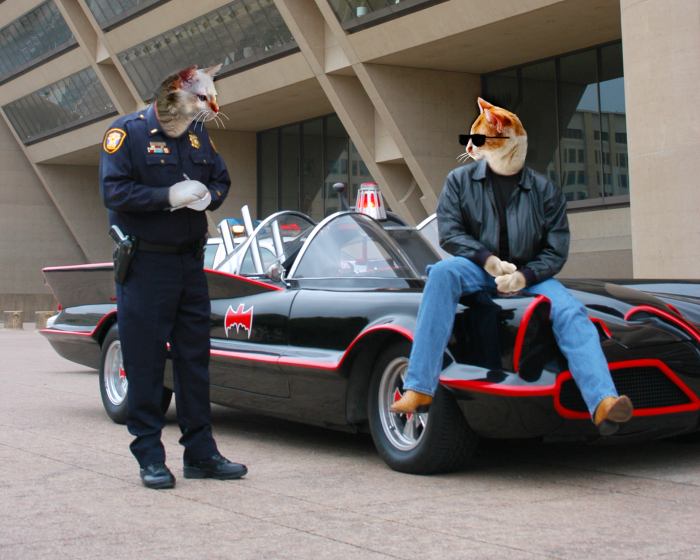 Photoshop Design by Silverkatt for DesignCrowd (Community Contests) | Design #9098199