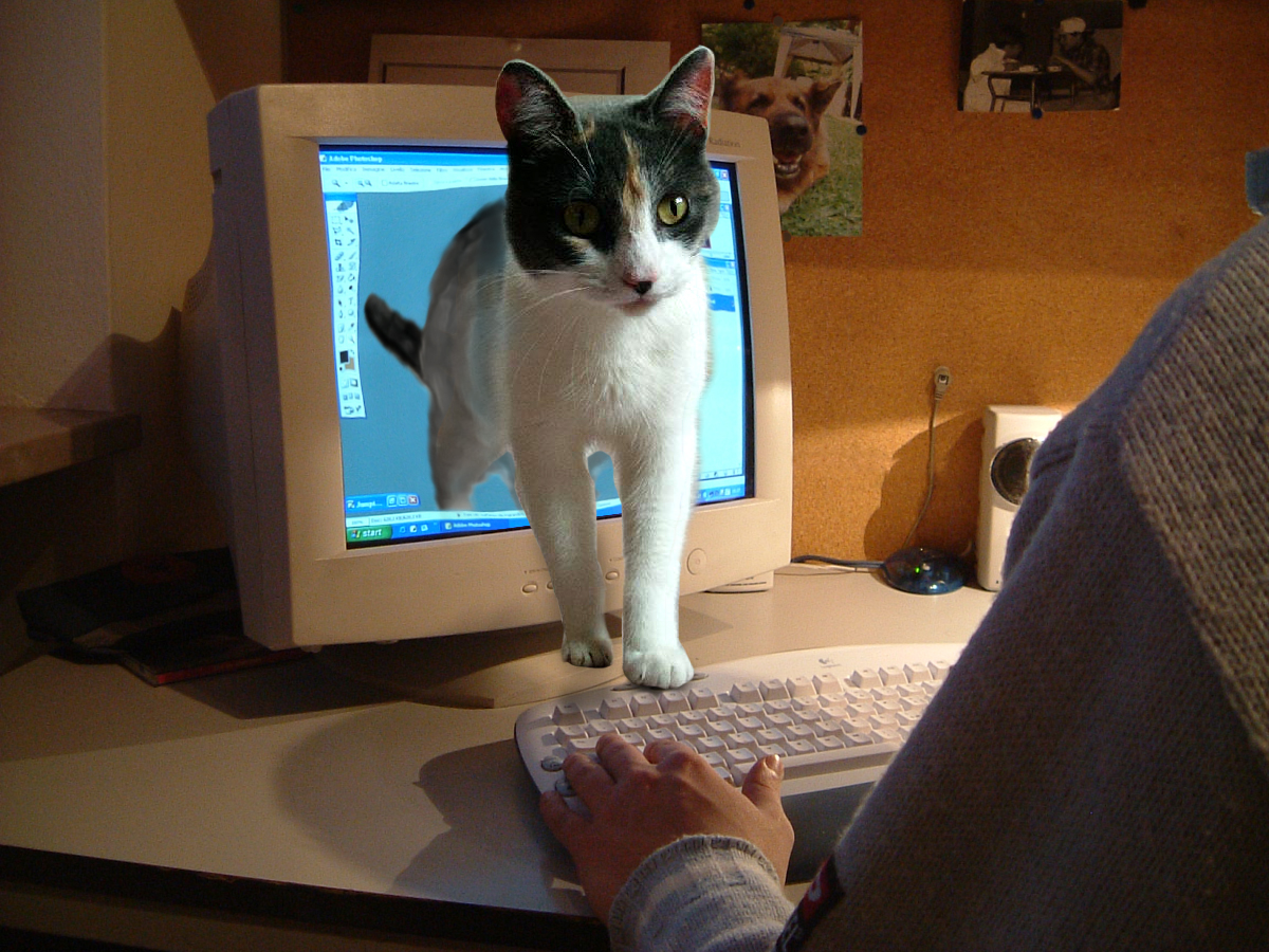 Photoshop Design by kavaweb for DesignCrowd (Community Contests) | Design #9098436