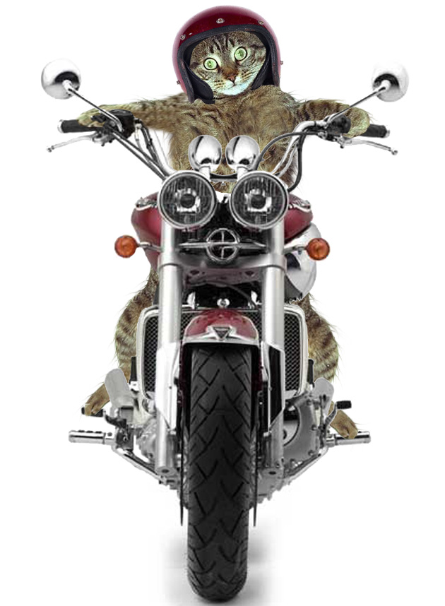 Design Photoshop par godzillatemple pour DesignCrowd (Community Contests) | Design #9098370