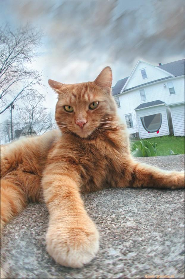 Photoshop Design by Threedeenow for DesignCrowd (Community Contests) | Design #9098385