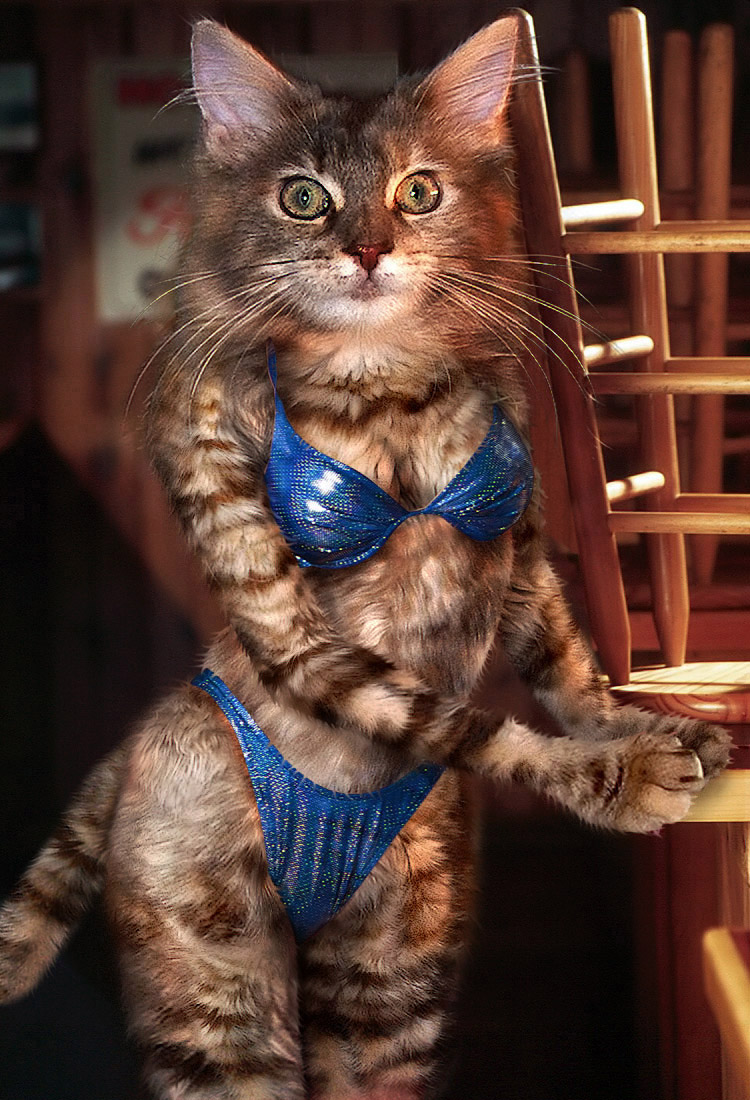 Design Photoshop par CCZ pour DesignCrowd (Community Contests) | Design #9098273