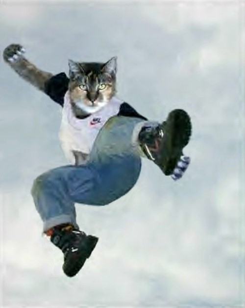 Photoshop Design by TerryLea for DesignCrowd (Community Contests) | Design #9098396