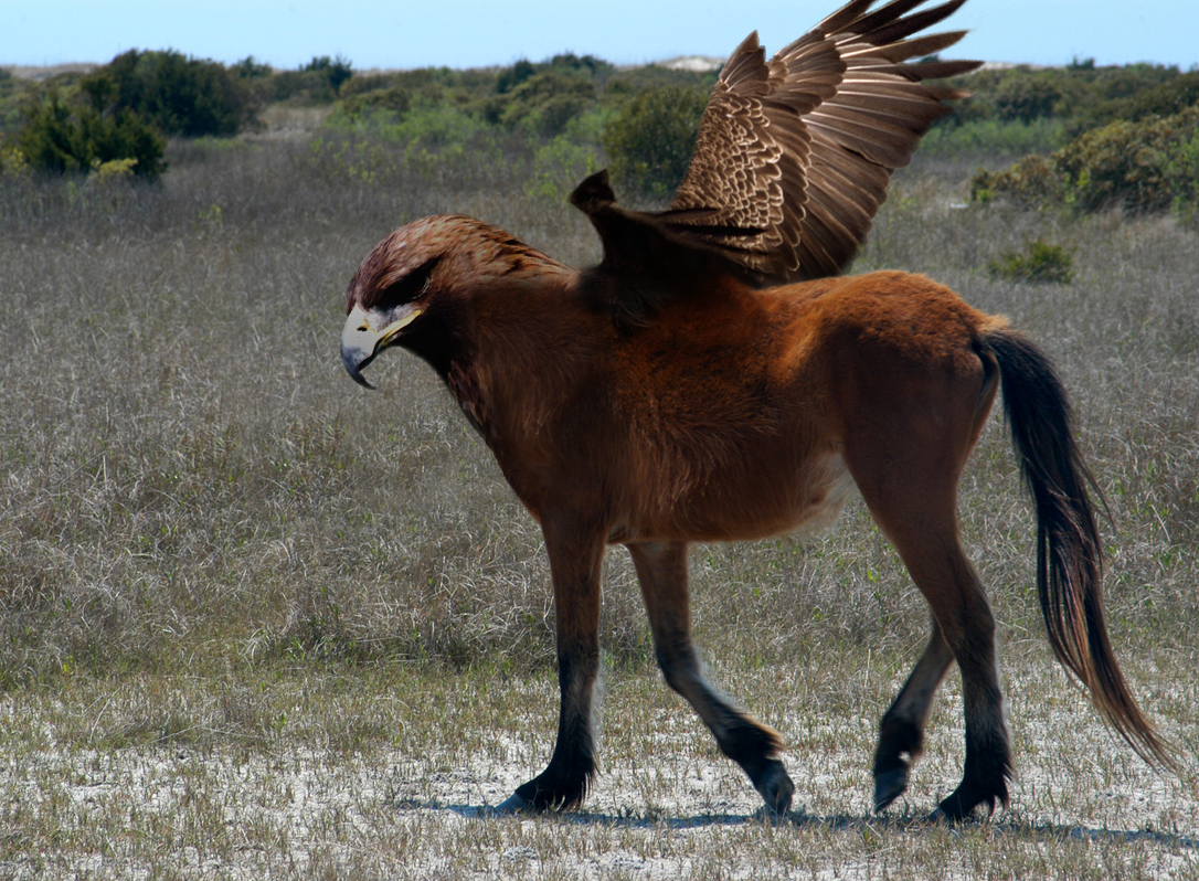 Photoshop Design by oleksa for DesignCrowd (Community Contests) | Design #9095021