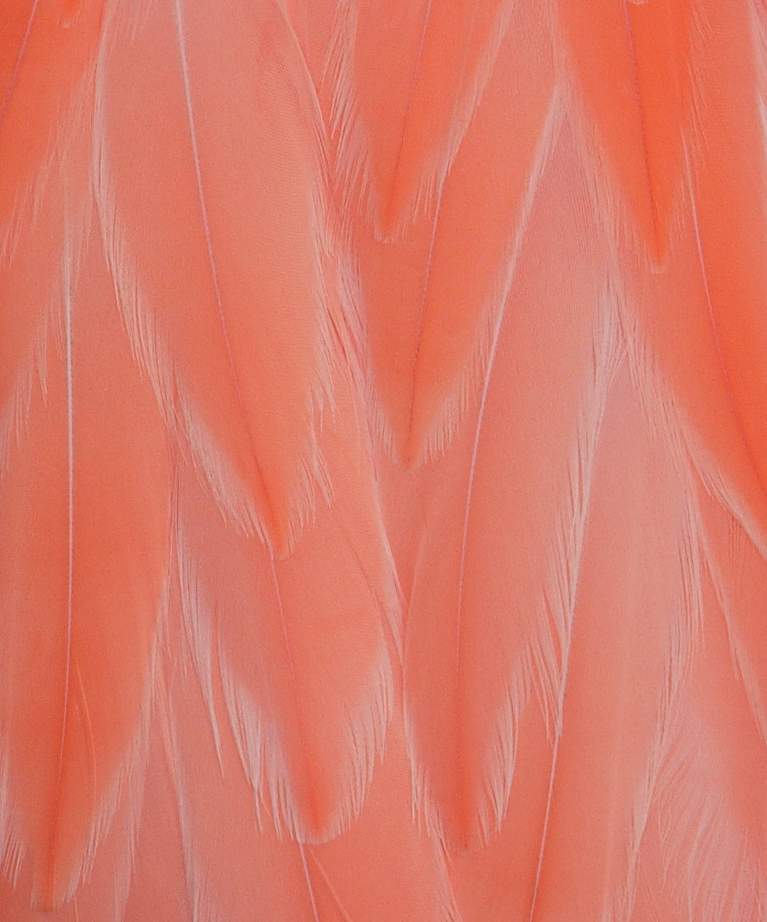 Photographie par wrathe pour DesignCrowd (Community Contests) | Design #9093038