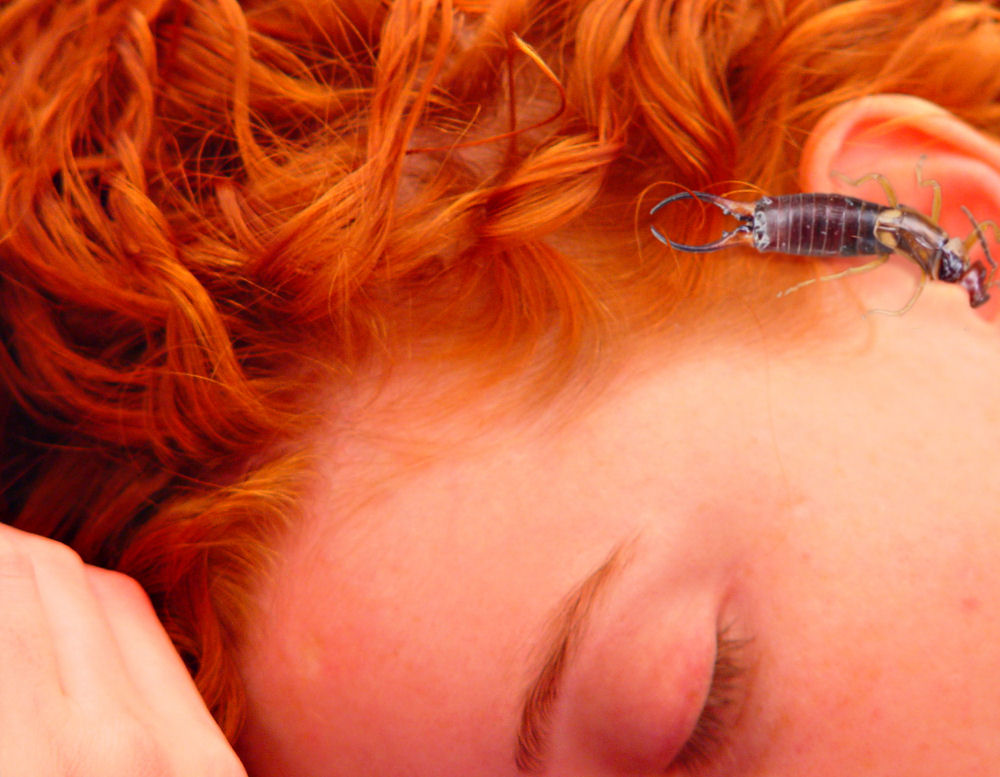 Design Photoshop par srt19170 pour DesignCrowd (Community Contests) | Design #9095025