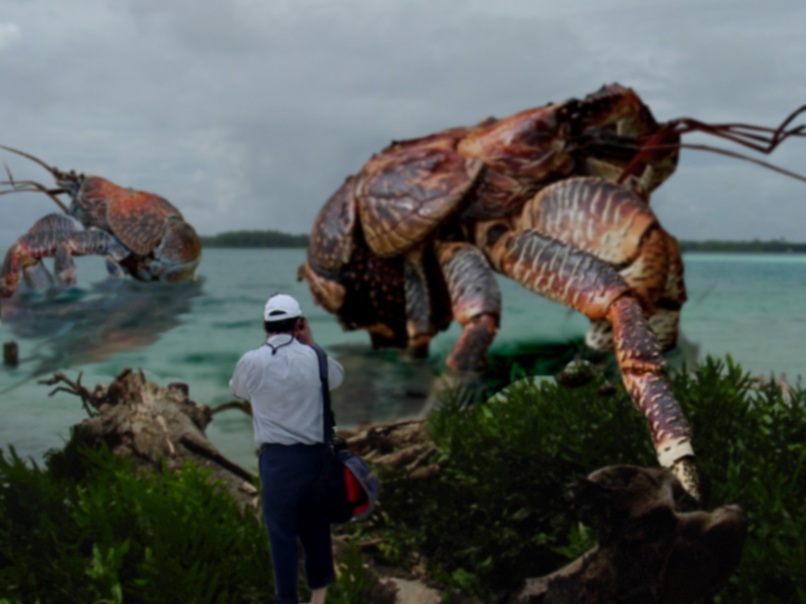 Diseño de Photoshop por spiraleye para DesignCrowd (Community Contests) | Diseño #9095062