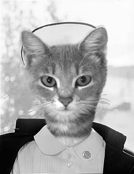 Design Photoshop par paparouna pour DesignCrowd (Community Contests) | Design #9098375