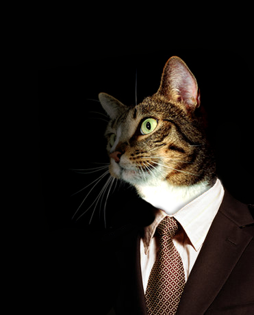 Diseño de Photoshop por Cartoona para DesignCrowd (Community Contests) | Diseño #9098413