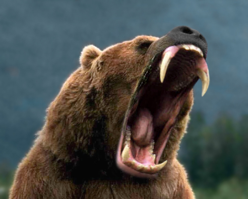 Photoshop-Design von worthathousand für DesignCrowd (Community Contests) | Design #9095157