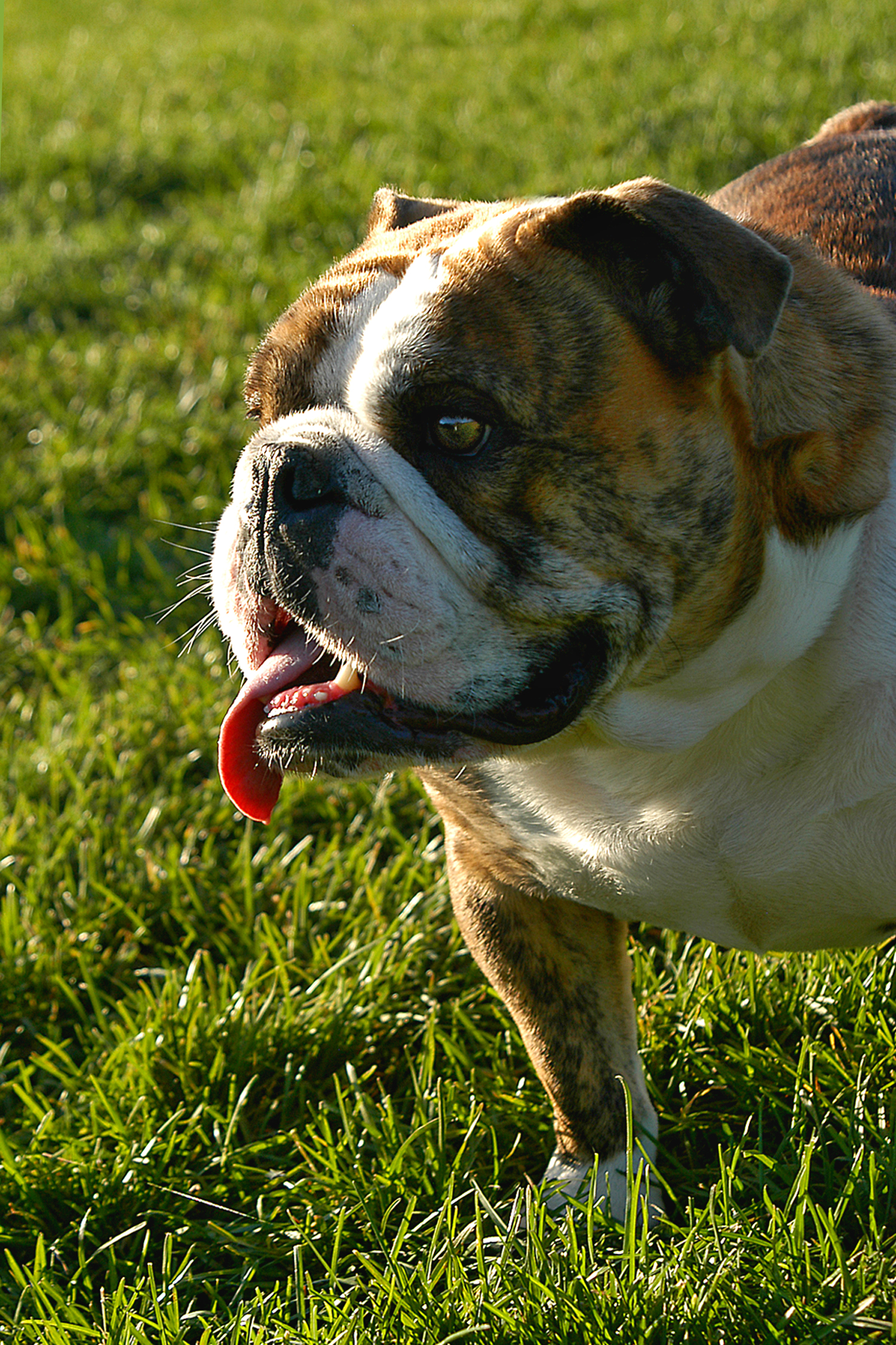 Fotografie von ewall53 für DesignCrowd (Community Contests) | Design #9093041