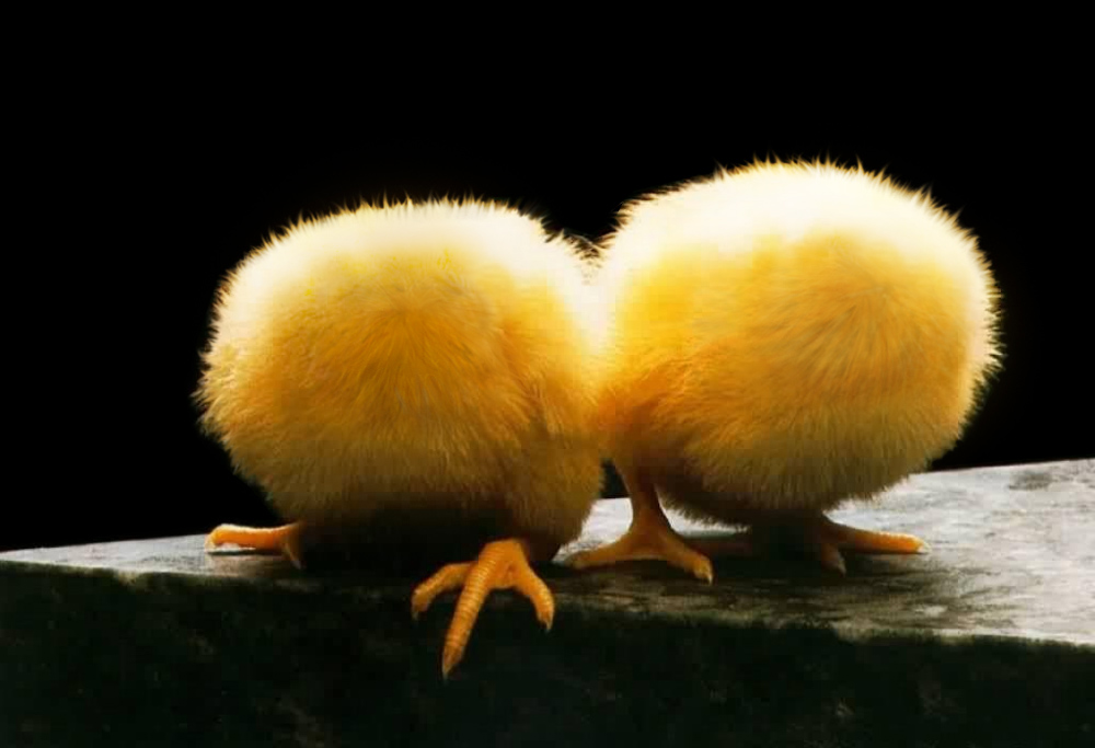 Photoshop Design by SigurRos for DesignCrowd (Community Contests) | Design #9092586