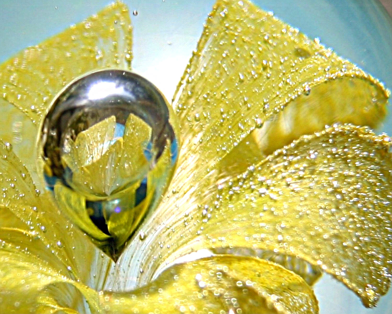 Photographie par RhondaatLaw pour DesignCrowd (Community Contests) | Design #9093071