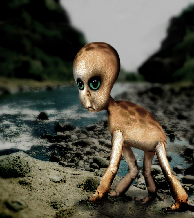 Photoshop-Design von zulittle für DesignCrowd (Community Contests) | Design #9095137