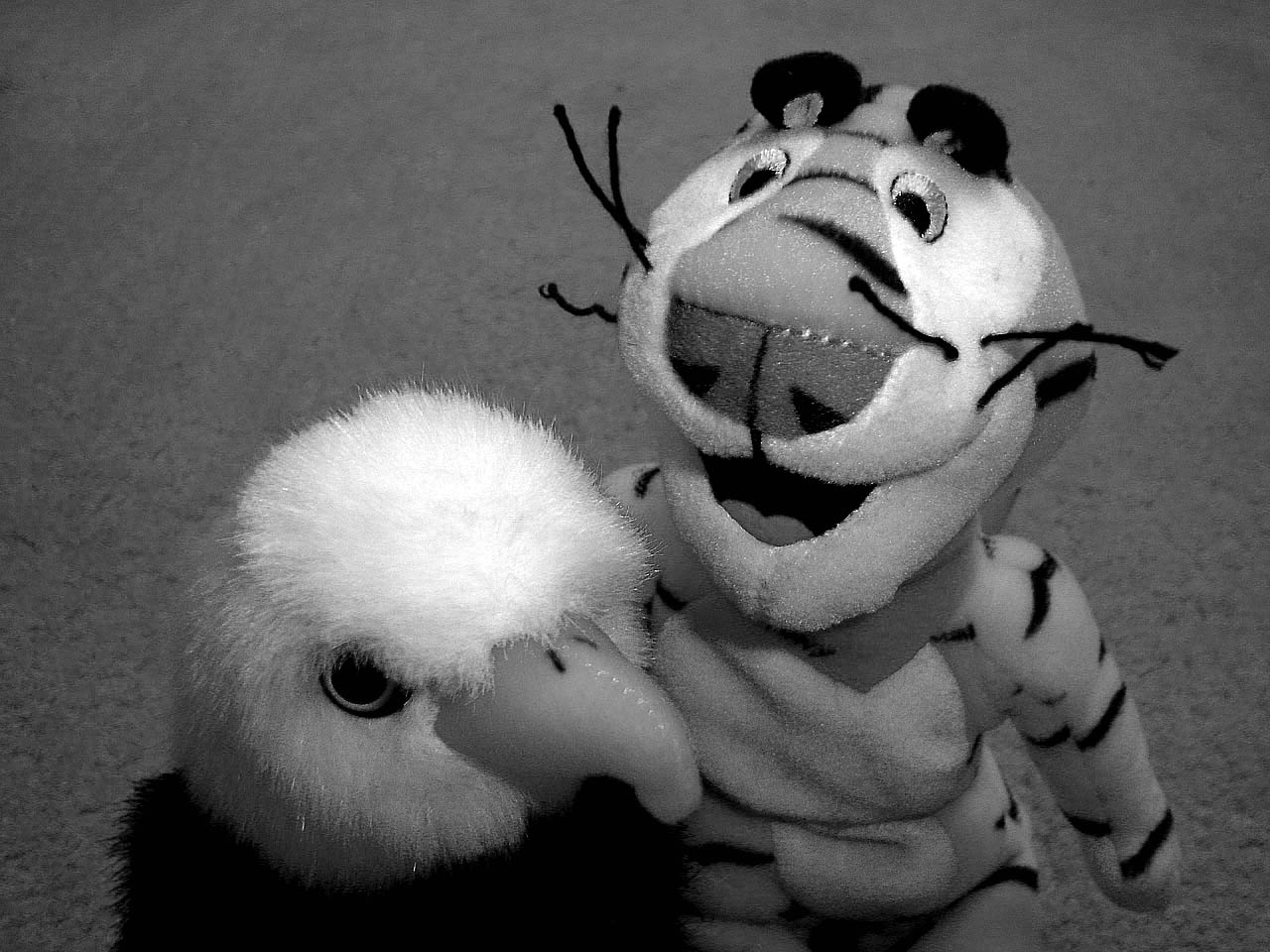 Photographie par whitewhale pour DesignCrowd (Community Contests) | Design #9094795