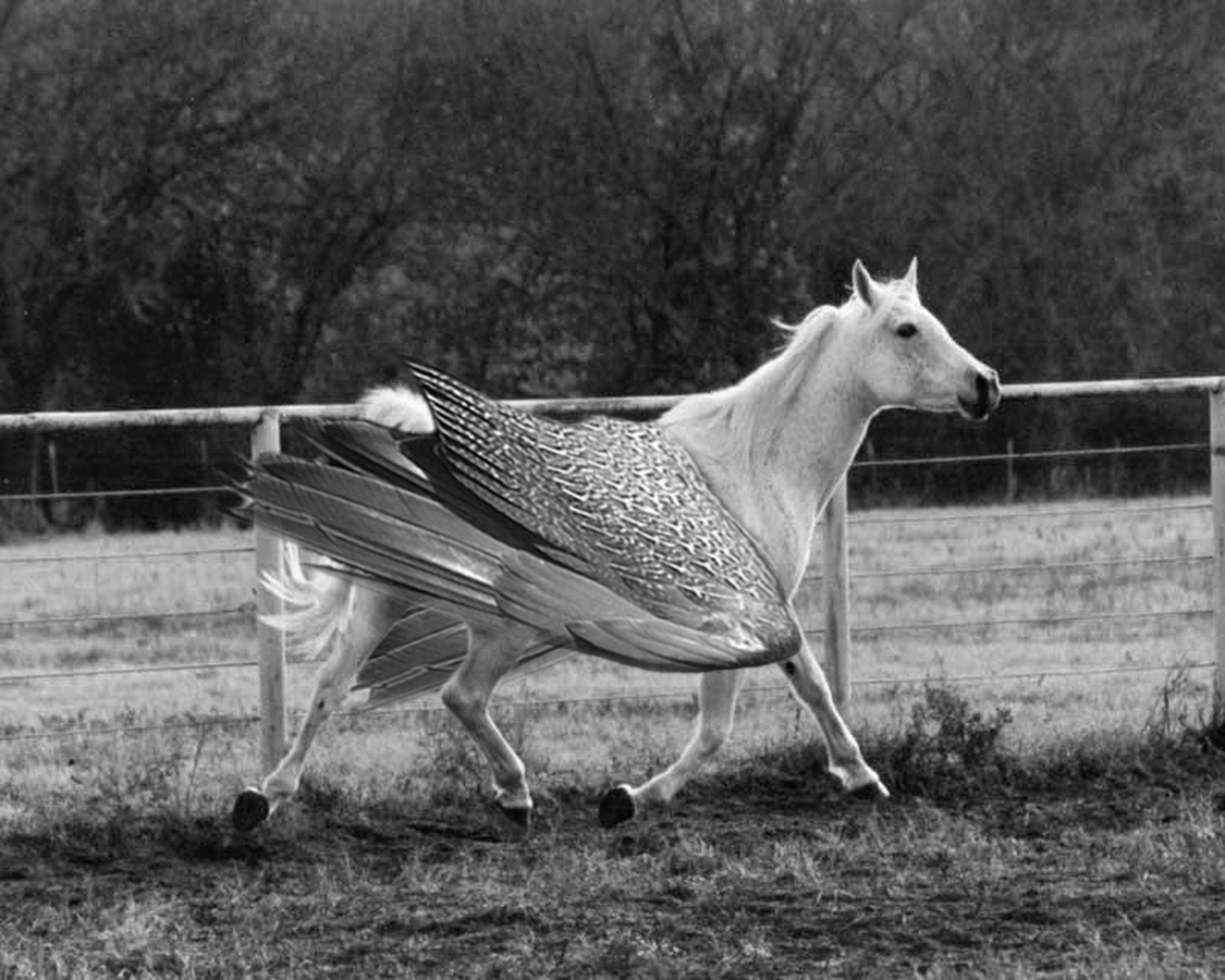 Diseño de Photoshop por rwallace para DesignCrowd (Community Contests) | Diseño #9095153