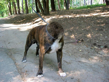 Photoshop-Design von mattpatrick für DesignCrowd (Community Contests) | Design #9092622