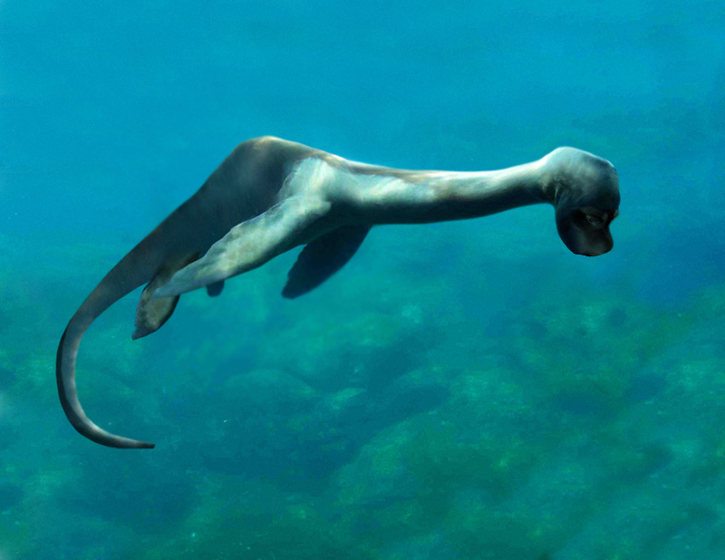 Design Photoshop par DestinationCreation pour DesignCrowd (Community Contests) | Design #9095111