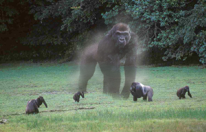 Photoshop Design by pdagwln for DesignCrowd (Community Contests) | Design #9095114