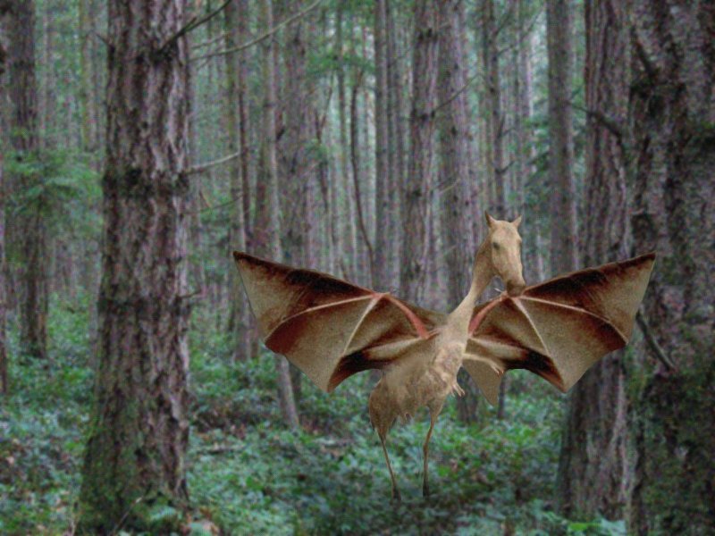 Diseño de Photoshop por TimeTraveler para DesignCrowd (Community Contests) | Diseño #9095103