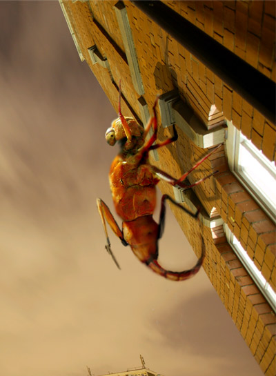 Photoshop Design by Odessa for DesignCrowd (Community Contests) | Design #9095192