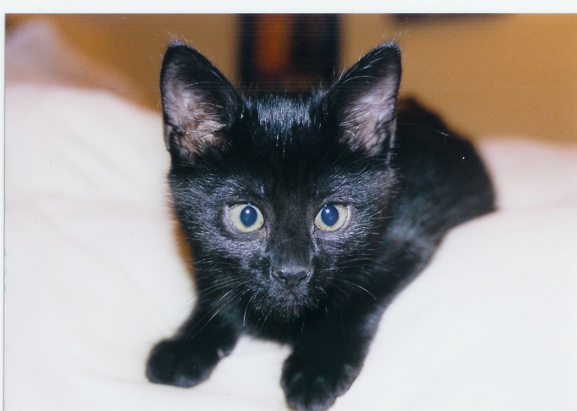 Photography by KCBroadway for DesignCrowd (Community Contests) | Design #9093109