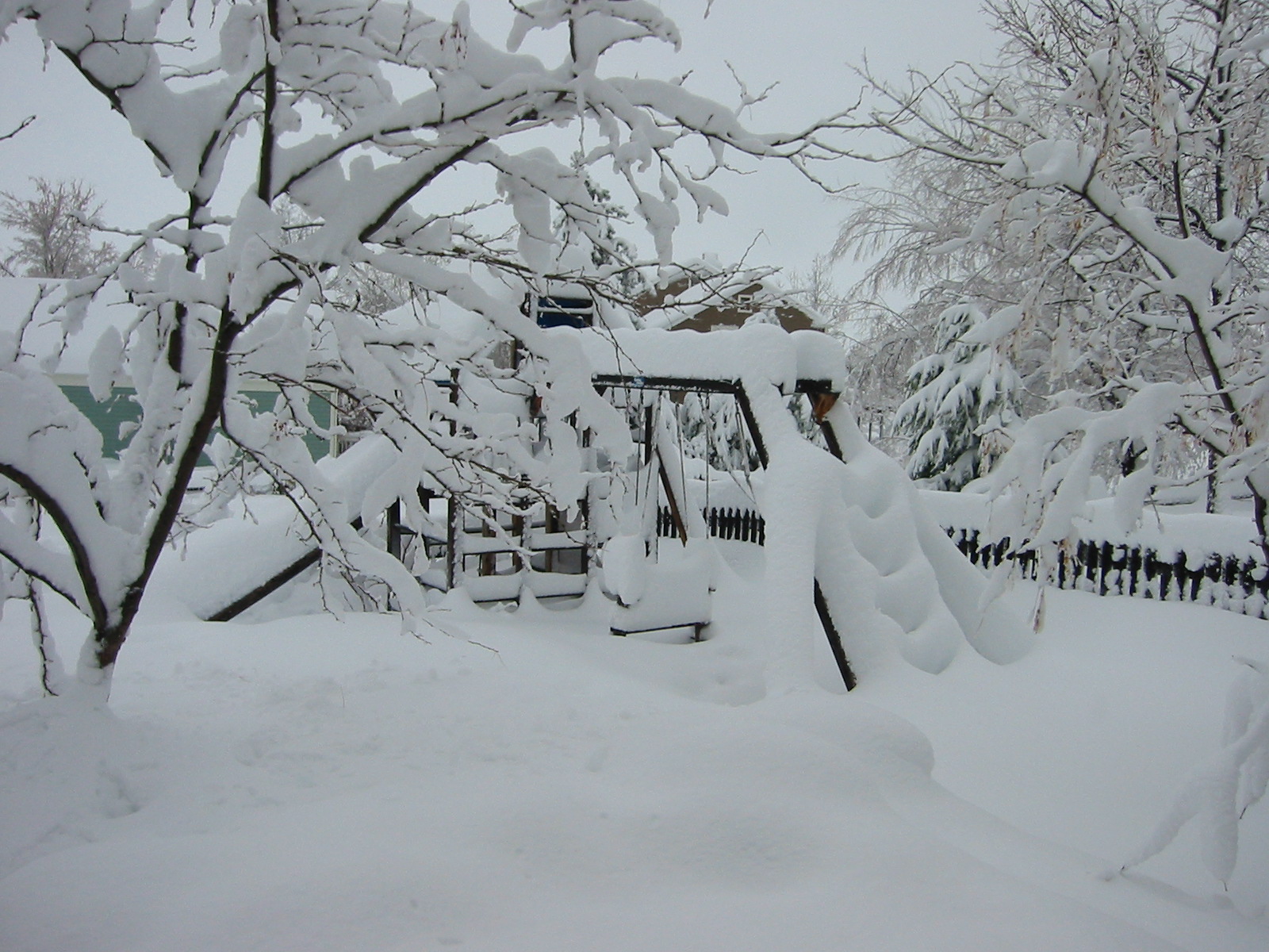 Photography by bc2poo for DesignCrowd (Community Contests) | Design #9094928