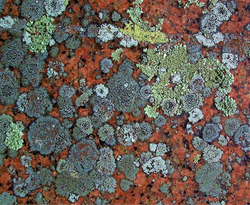 Photography by ozplasmic for DesignCrowd (Community Contests) | Design #9093131