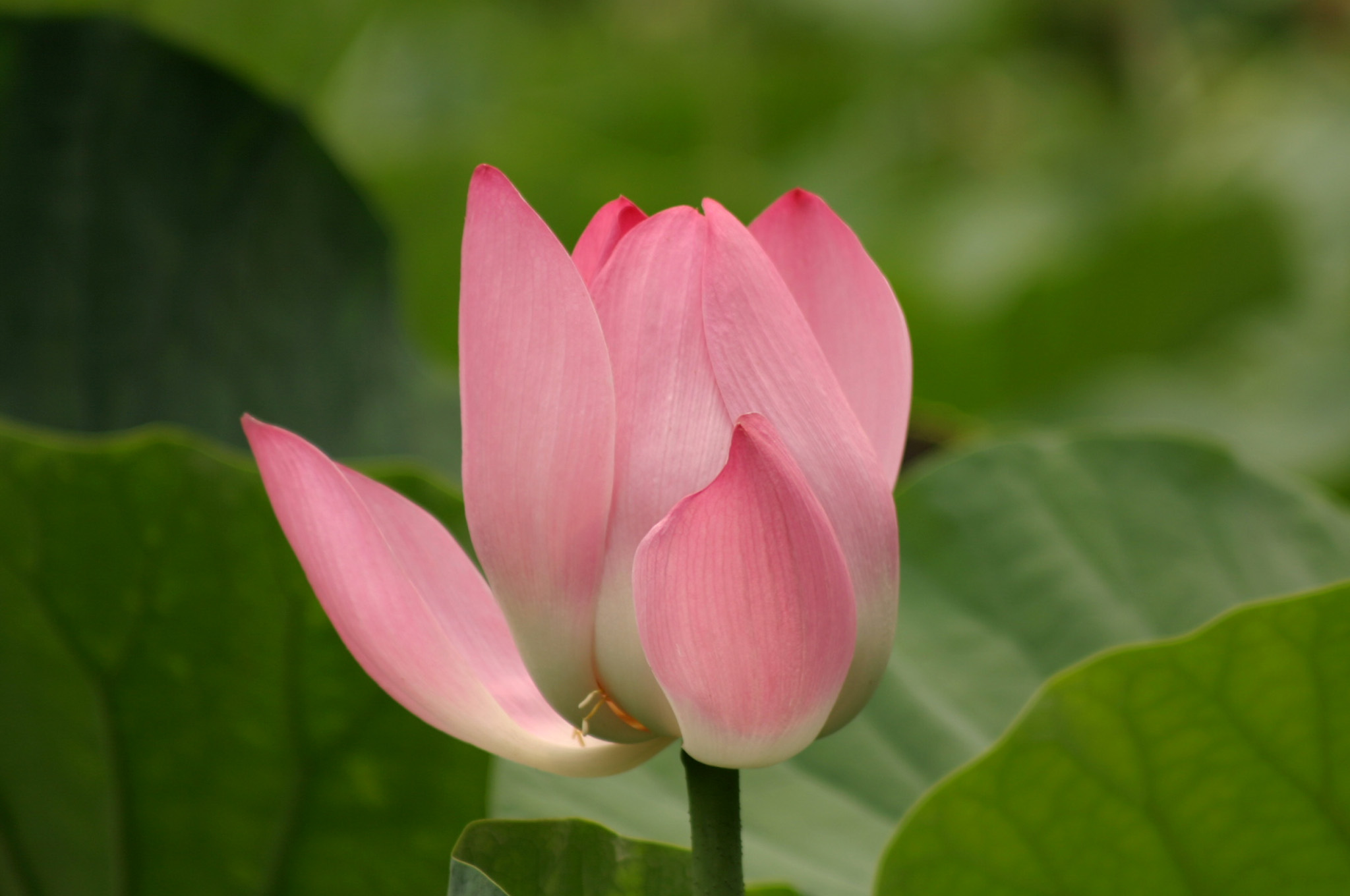 Photography by fastfret for DesignCrowd (Community Contests) | Design #9093126