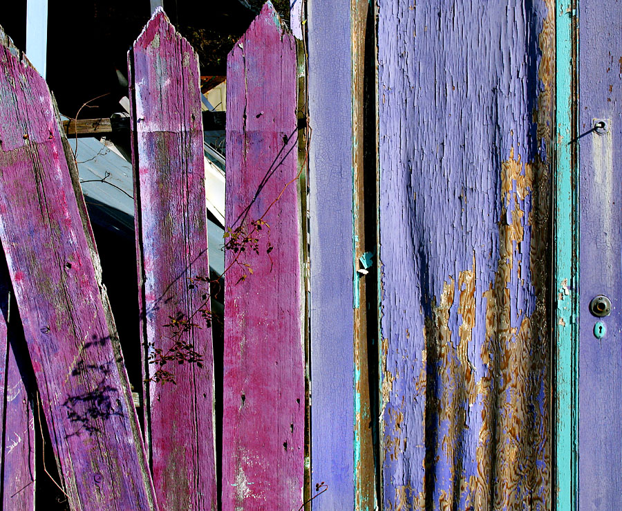 Fotografie von TampaDroid für DesignCrowd (Community Contests) | Design #9093078