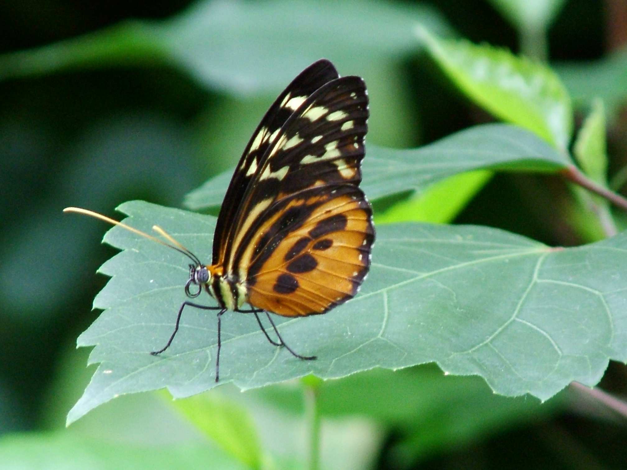 Photography by mmc9496 for DesignCrowd (Community Contests) | Design #9093099