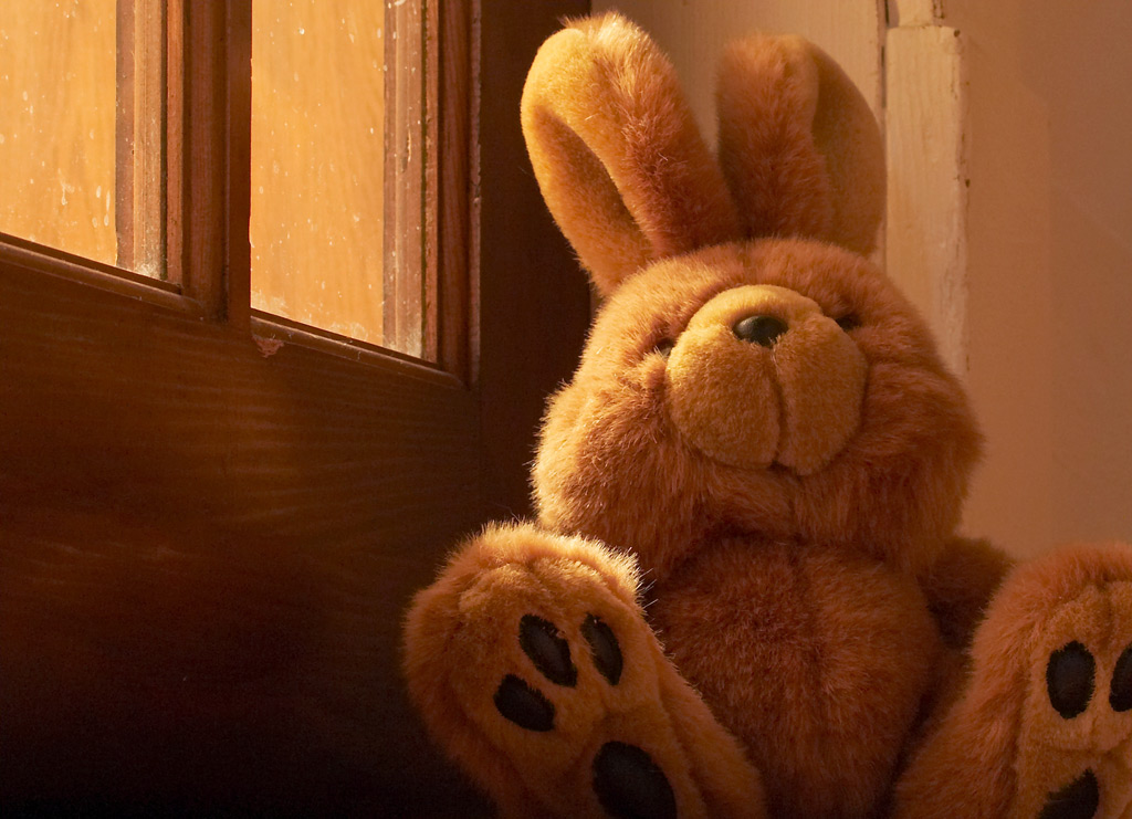 Fotografía por ELBradenabra para DesignCrowd (Community Contests) | Diseño #9094879