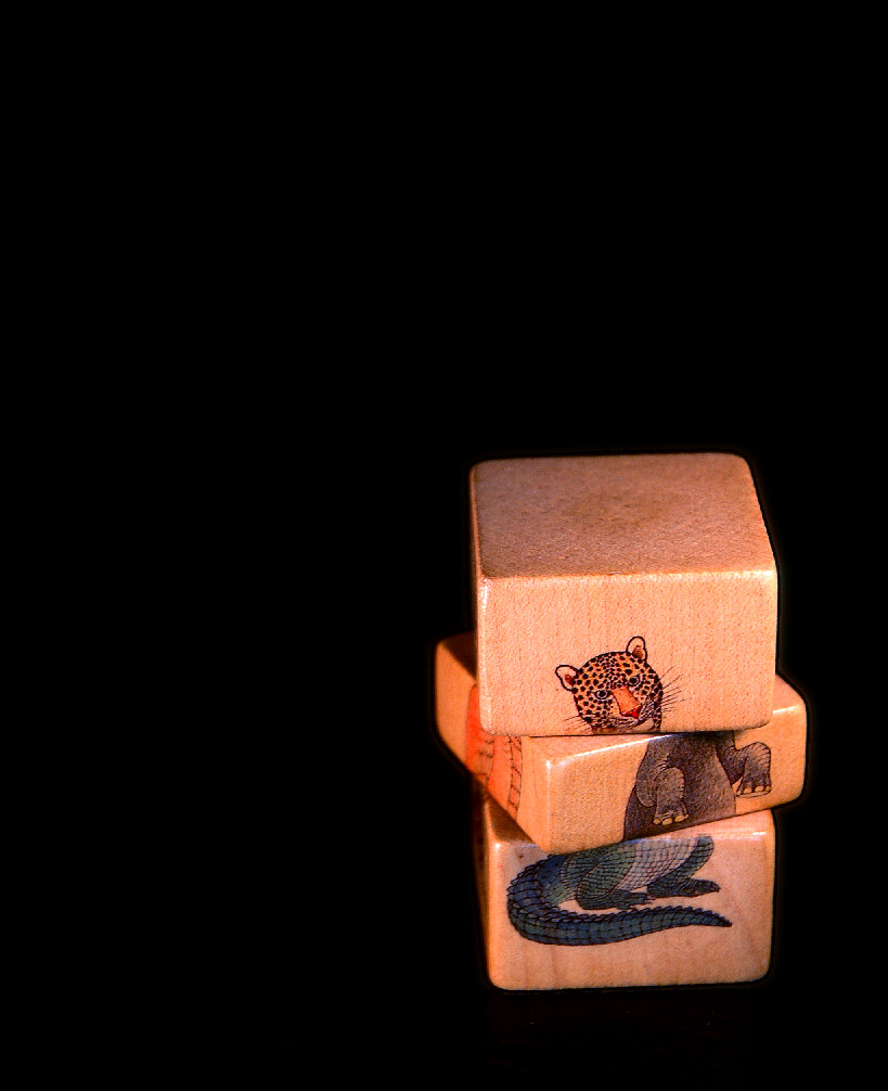 Photography by koalachimbo for DesignCrowd (Community Contests) | Design #9094856