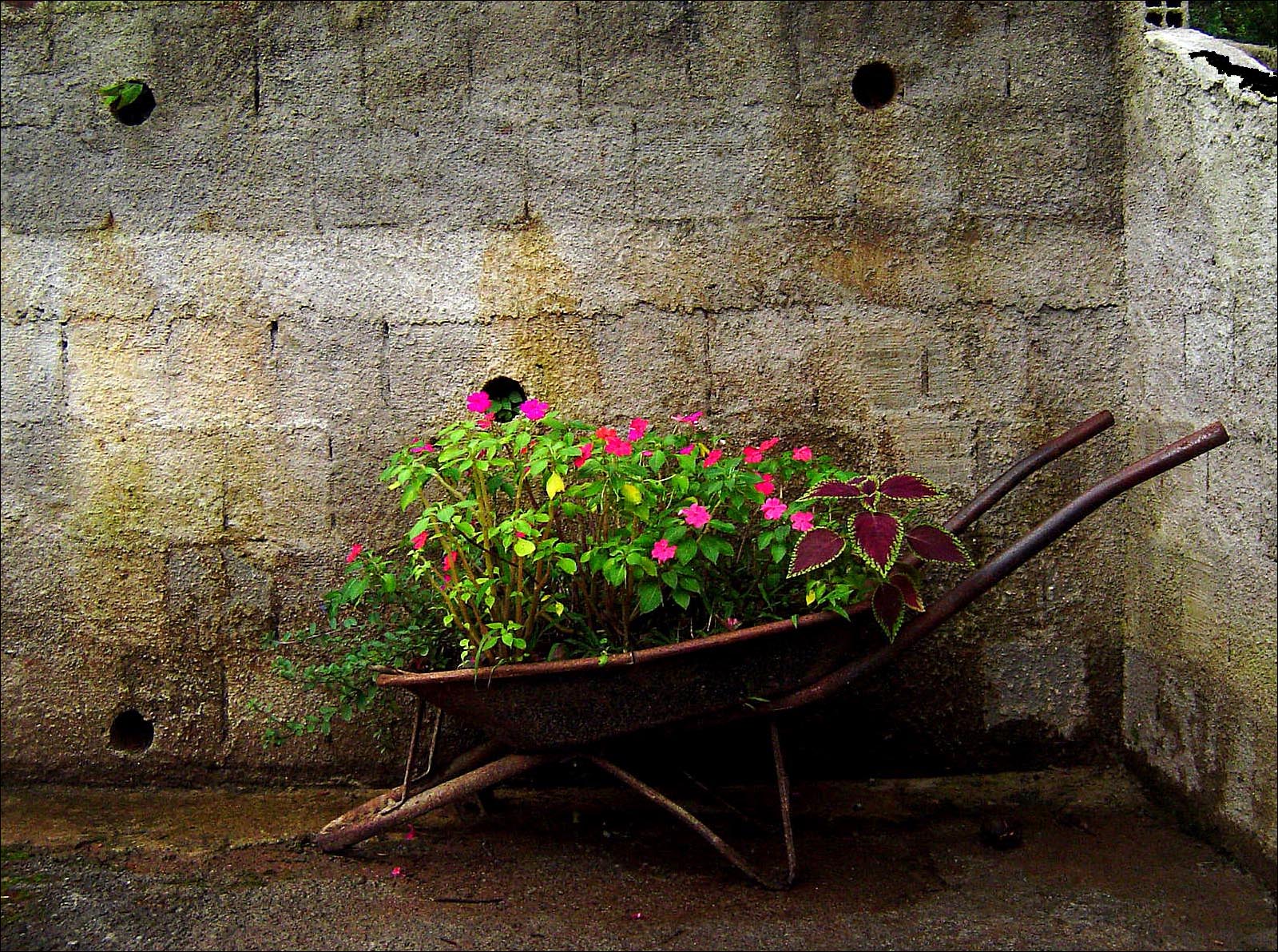 Fotografie von pedronurmi für DesignCrowd (Community Contests) | Design #9093149