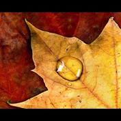 Photography by branie