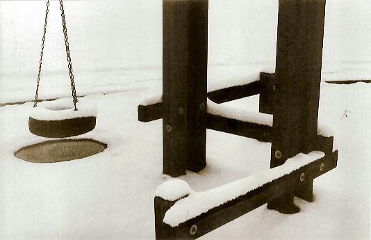 Fotografía por lahgon para DesignCrowd (Community Contests) | Diseño #9092502