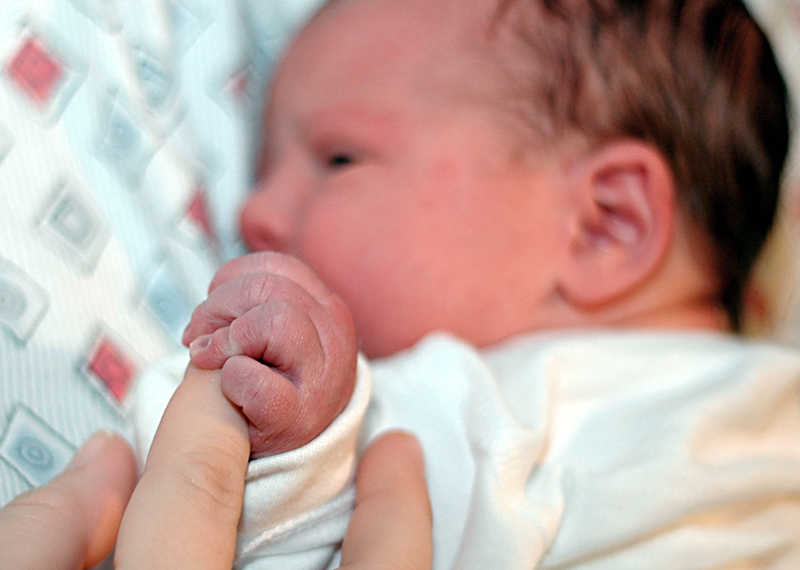 Fotografie von squeakers für DesignCrowd (Community Contests) | Design #9084585