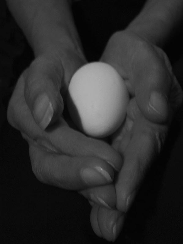 Photography by zensoul for DesignCrowd (Community Contests) | Design #9084614