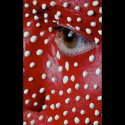 Photography by oteimages