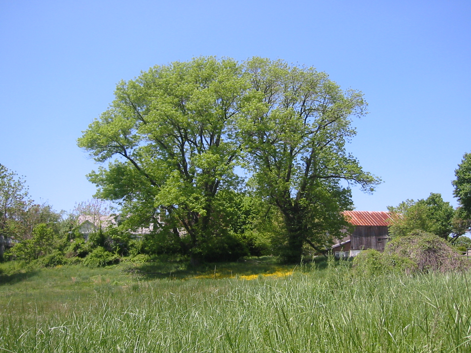 Fotografie von Tnerb1107 für DesignCrowd (Community Contests) | Design #9093196