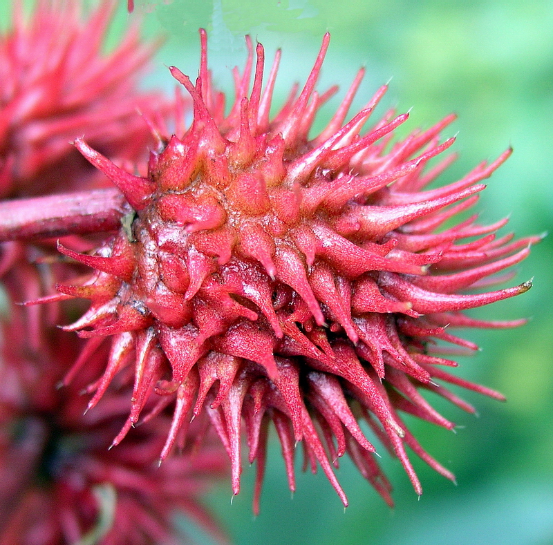 Photography by mzmzmzmz for DesignCrowd (Community Contests) | Design #9093202