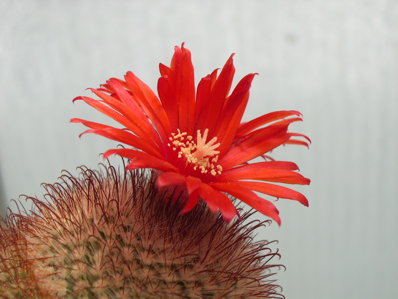 Photography by Phil517 for DesignCrowd (Community Contests) | Design #9093221