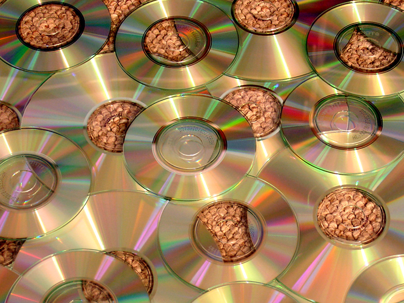 Photography by Loladiggles for DesignCrowd (Community Contests) | Design #9092517