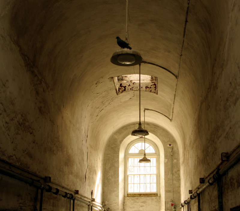 Photography by jiwasz for DesignCrowd (Community Contests) | Design #9096453