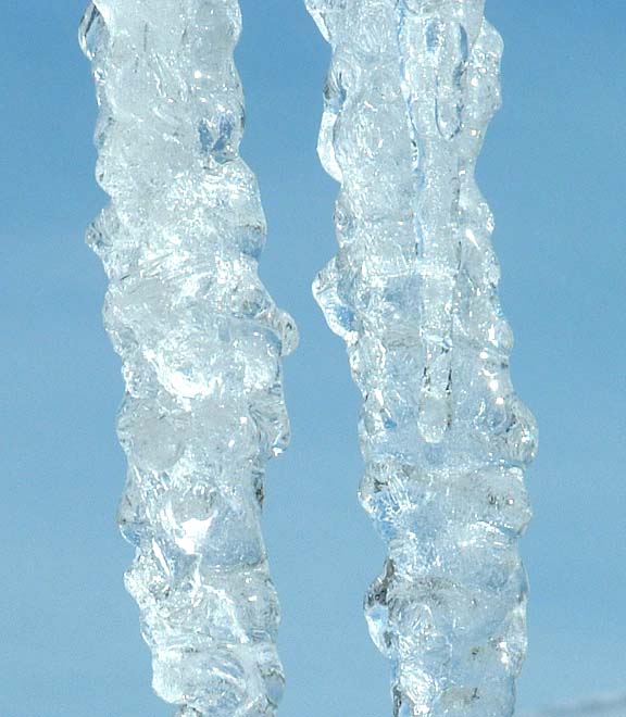 Photography by xxcky927xx for DesignCrowd (Community Contests) | Design #9094623