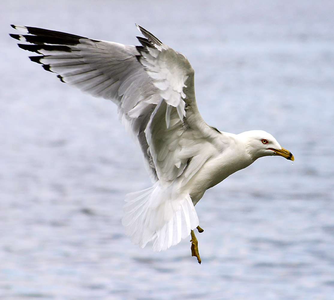 Photography by SigloV for DesignCrowd (Community Contests) | Design #9095625