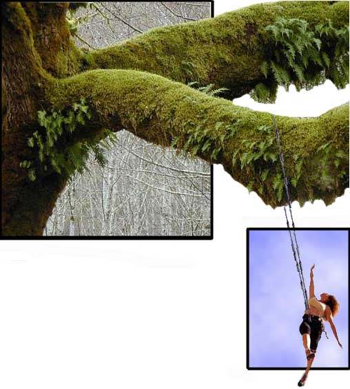 Diseño de Photoshop por xxcky927xx para DesignCrowd (Community Contests) | Diseño #9093185