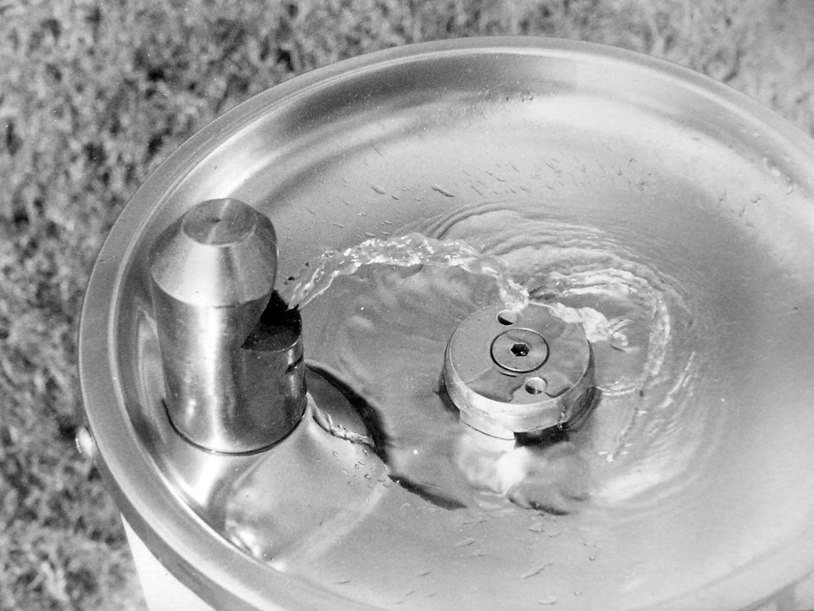 Fotografie von AlinaB7 für DesignCrowd (Community Contests) | Design #9095678